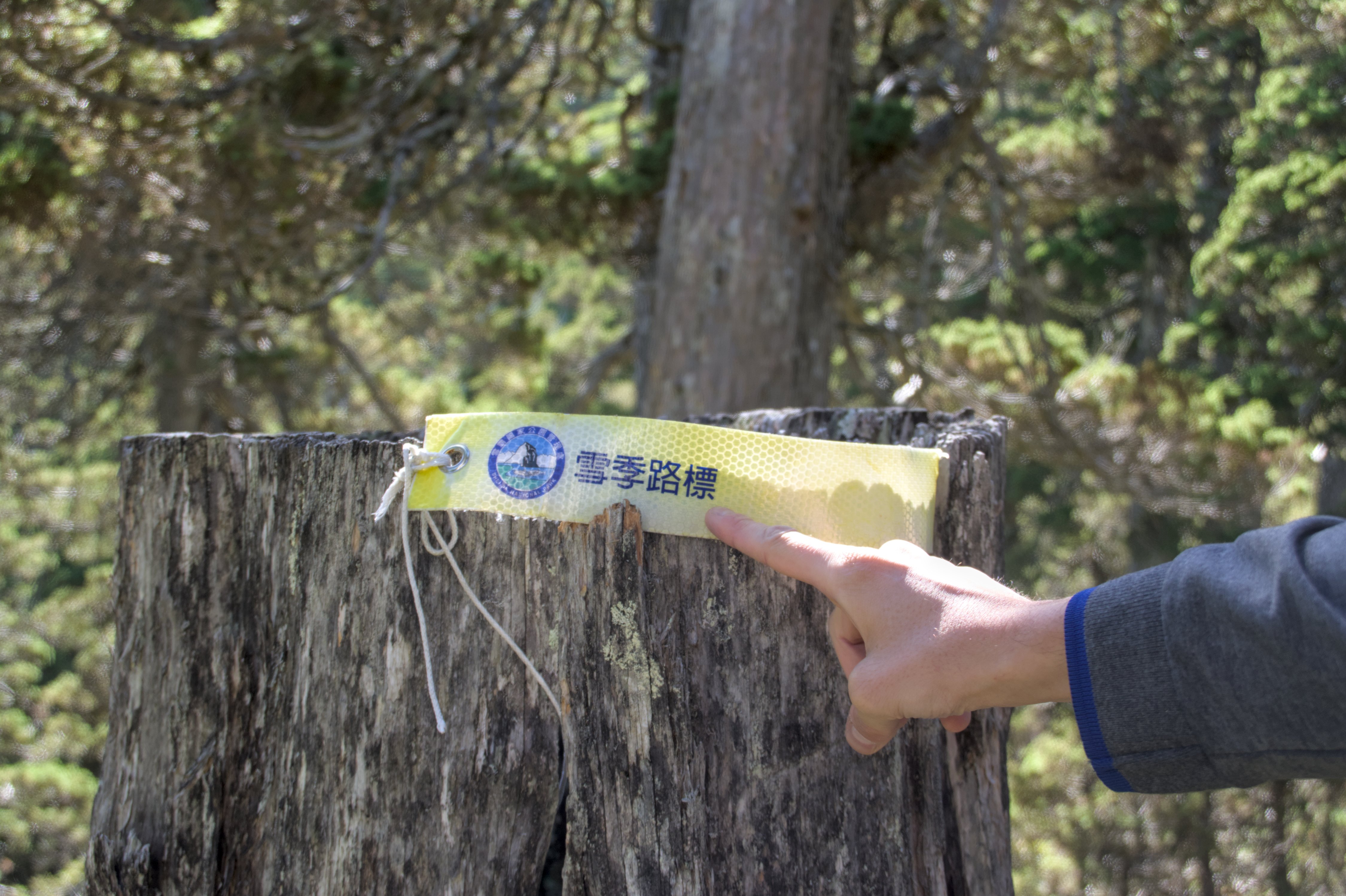Segnaletica_Xueshan La parola 路標 (lùbiāo), segnaletica (in montagna).