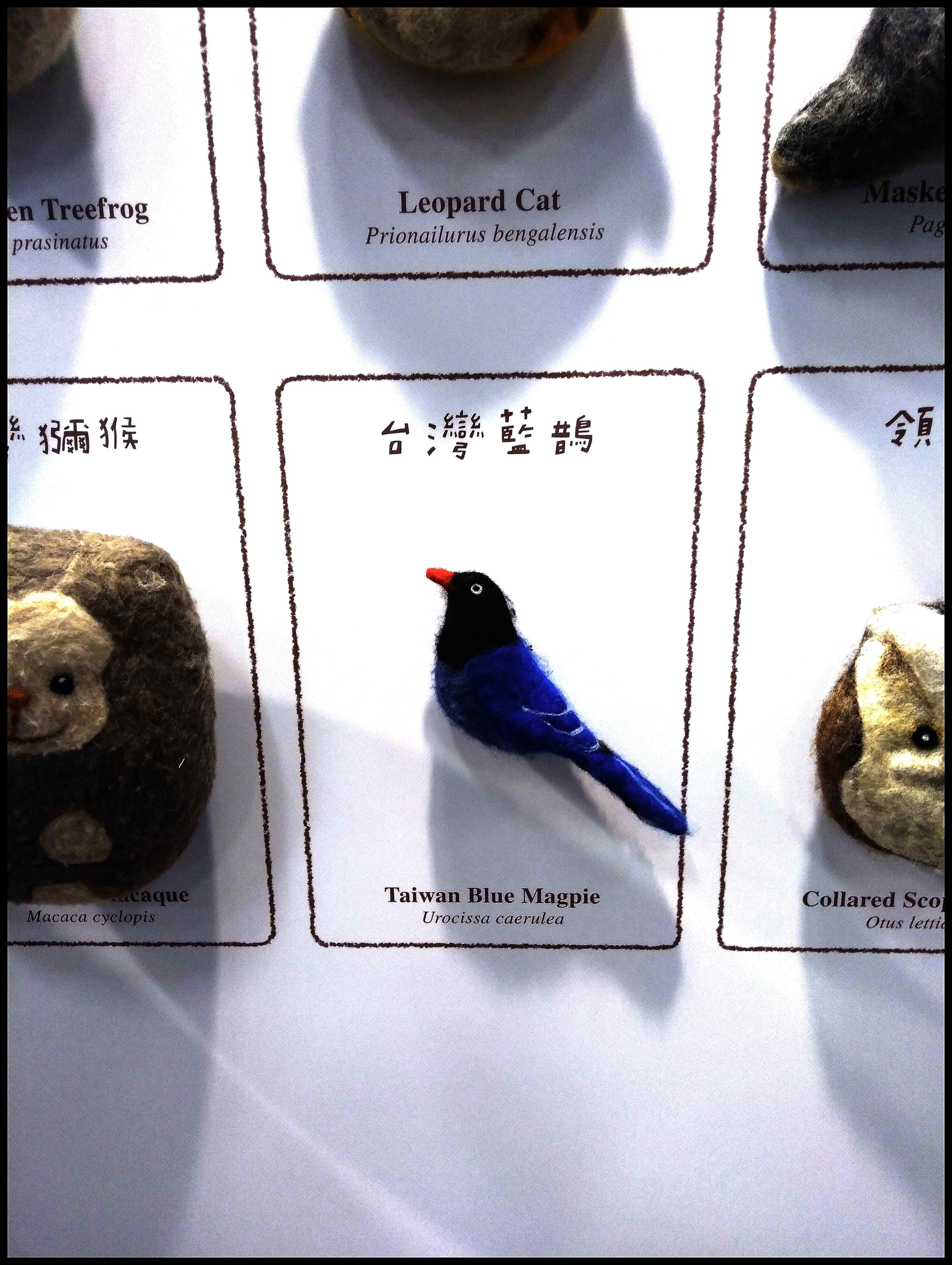 TIBE La gazza manesca mi ha perseguitato pure al salone del libro.