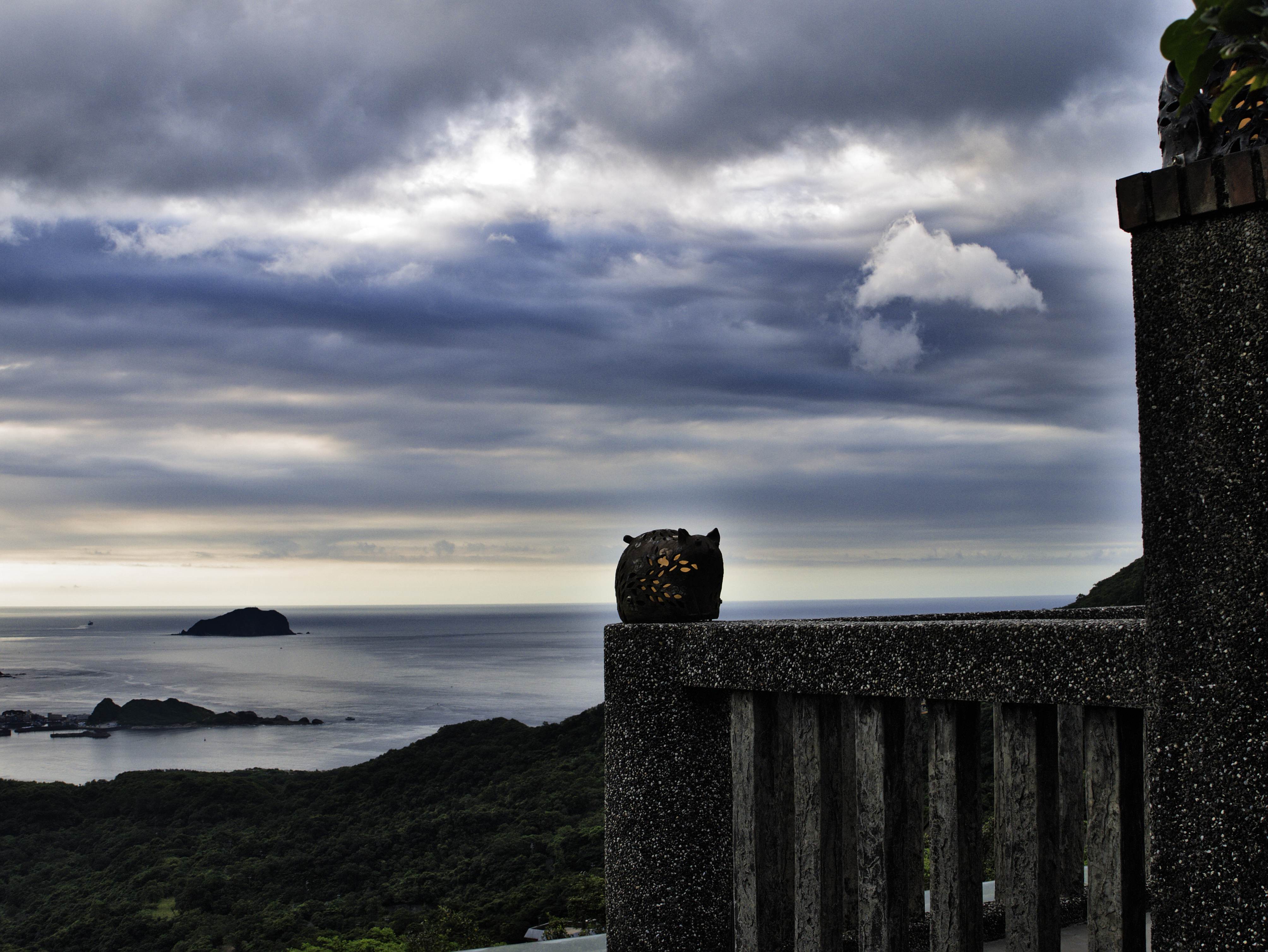 Gatto
