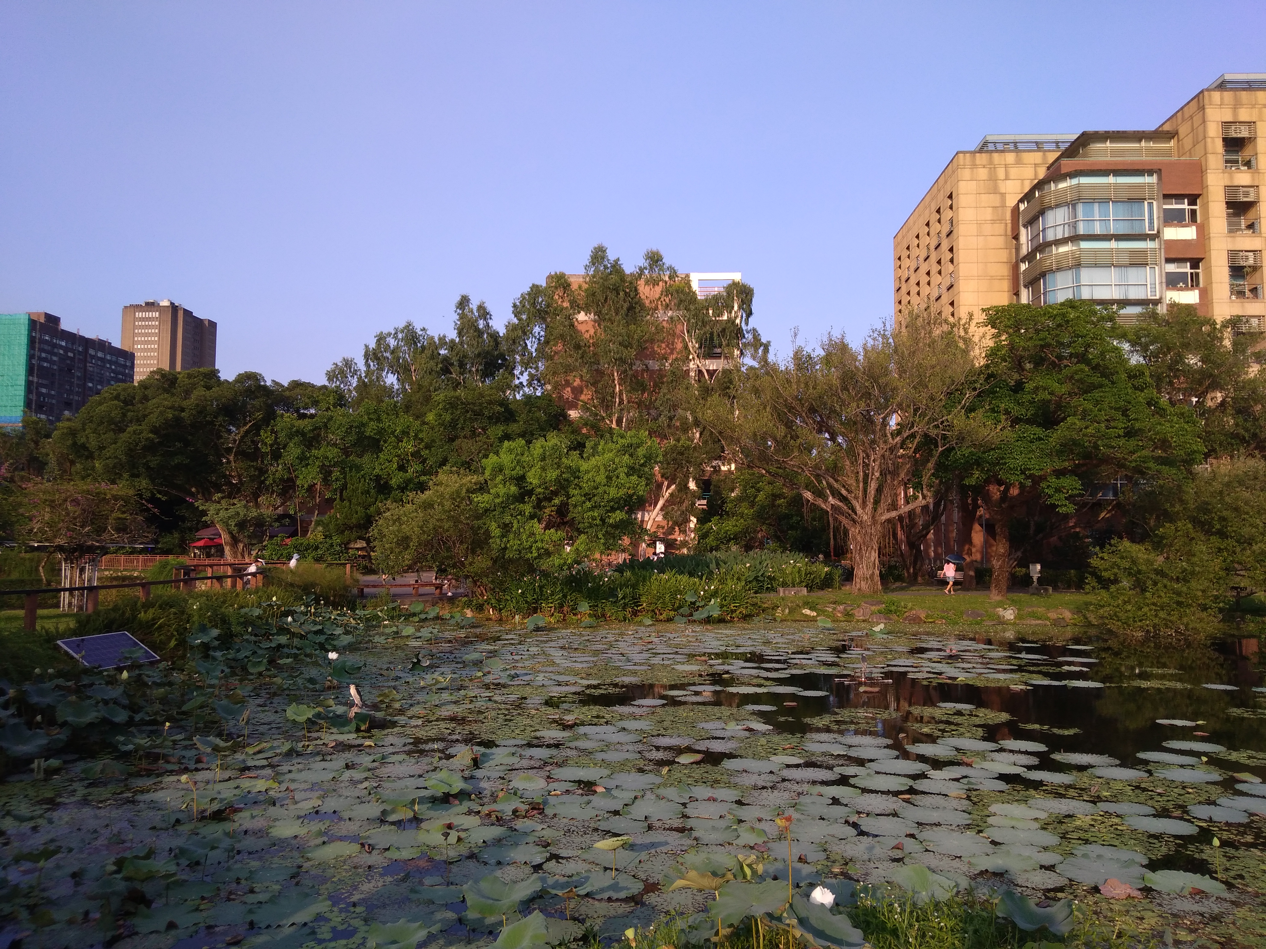 Una parte del parco dell'Università Nazionale di Taiwan, a pochi passi dall'NCTS.