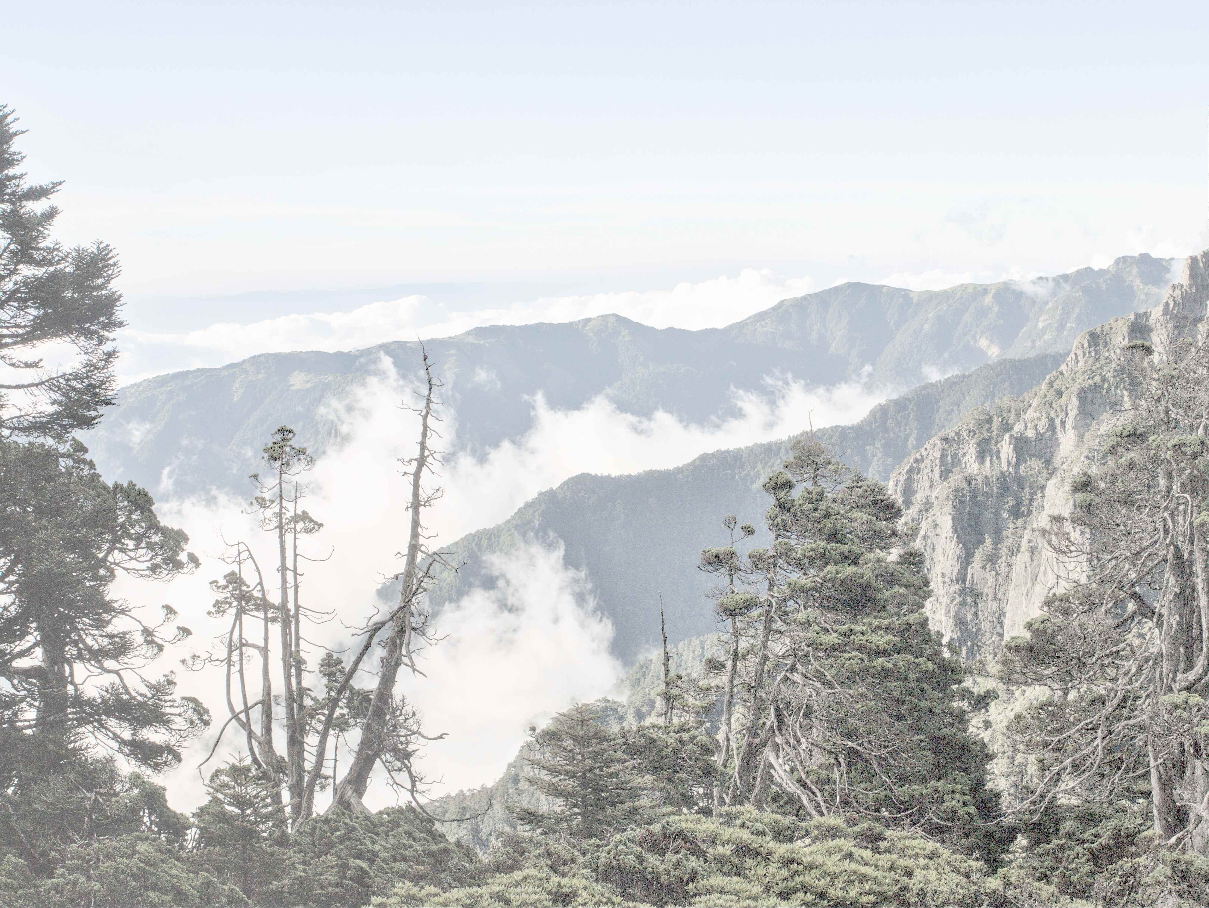 La nebbia si alza