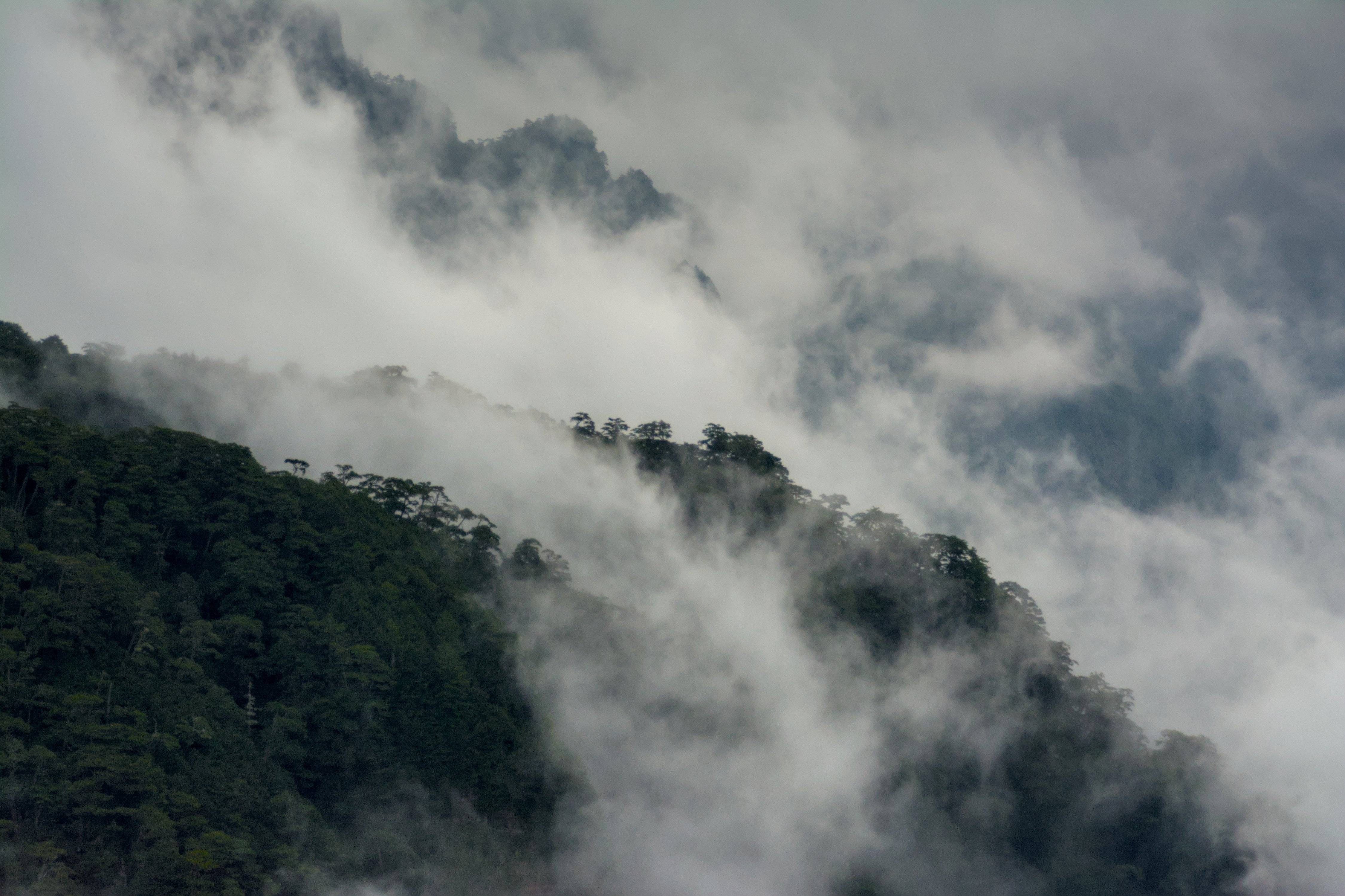 La nebbia si alza